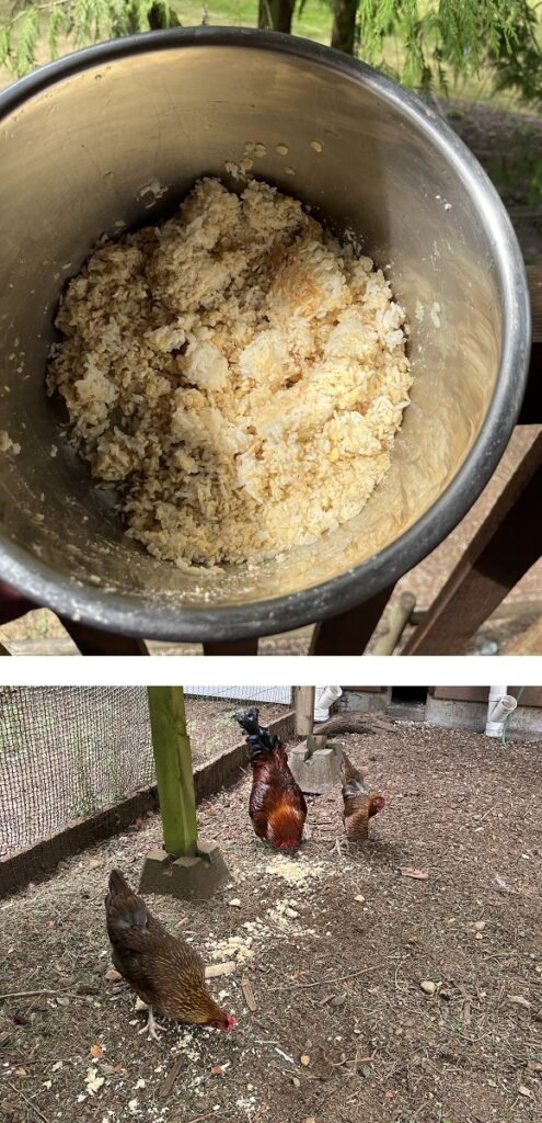 2024-08-13 - Instant Pot Rice & Lentils